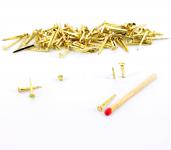 False screw head brass nail L : 20 mm (1 kg)