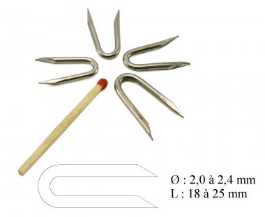 Beveled tips U nail L : 20 mm - Ø 2.0 mm 