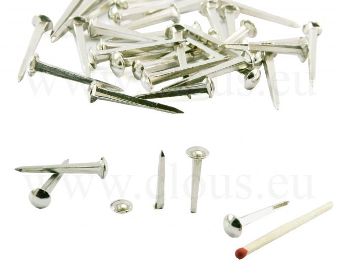 Dome head nickel coated nail L : 27 mm 