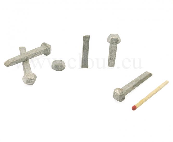 "Carvelle" forged galvanized steel nail - diamond shaped head (100 nails) L : 30 mm (100 clous)