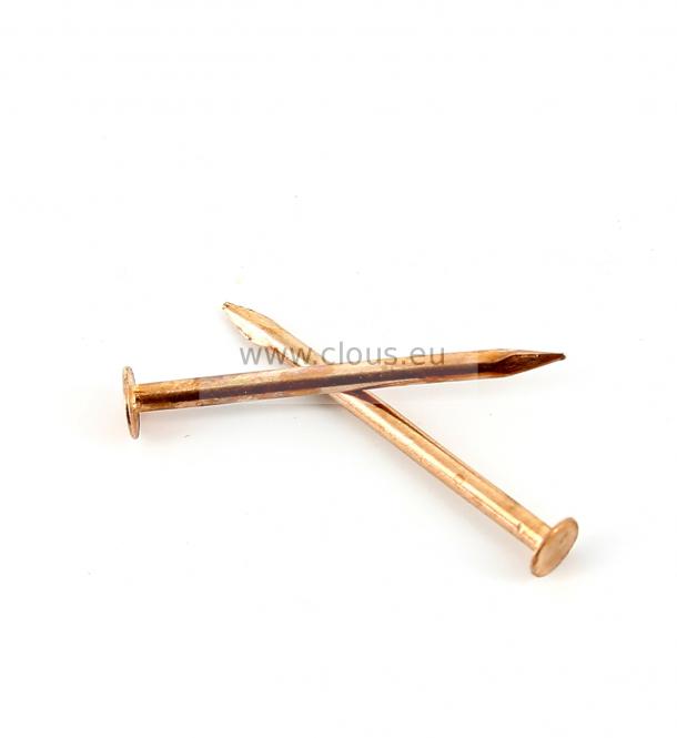 Large flat coppered steel nail  Ø 1.2 mm 