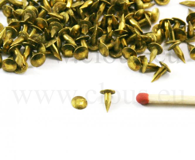Extra large head minitaure brass nail (30g) L : 6 mm - Ø 1.8 mm