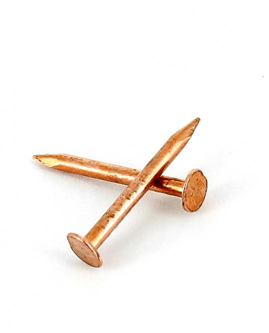 Large flat coppered nail  Ø 1.5 mm 