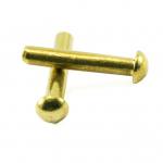 Unpointed tip, round head brass nail Ø 2.4 mm L : 40 mm - Ø 2.4 mm
