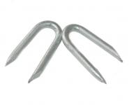 Beveled tips U nail – galvanized steel L : 31 mm - Ø 3.1 mm 